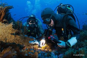 Okeanos Universidade dos açores